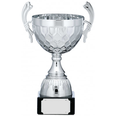 Silver Patterned Cup Trophy