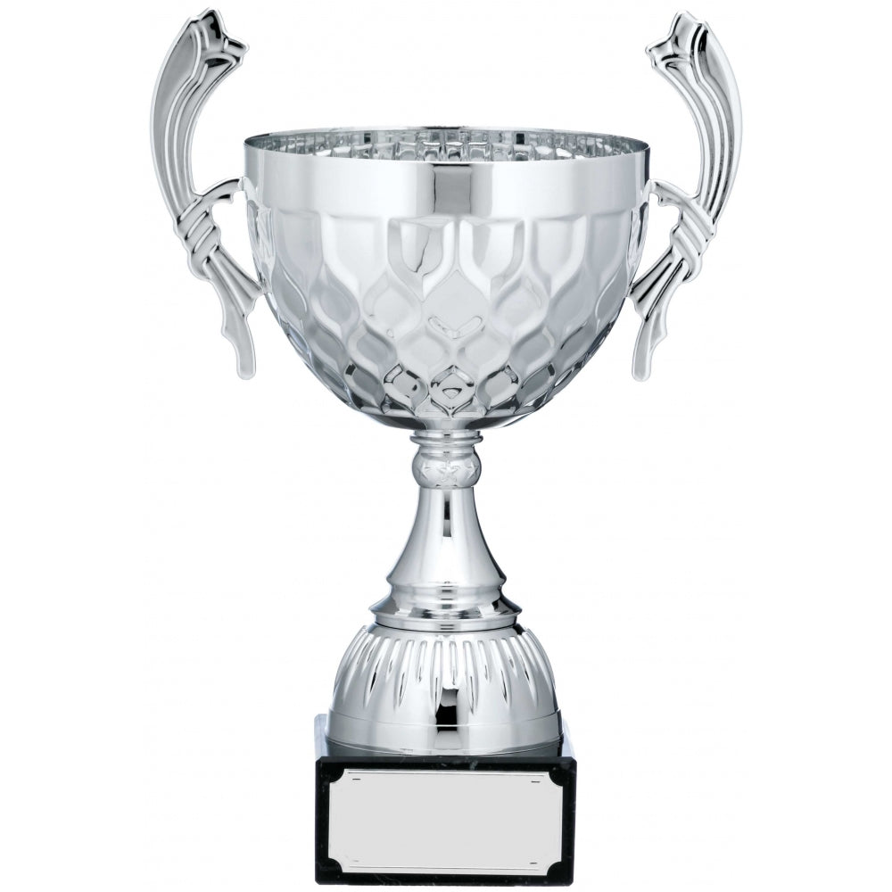 Silver Patterned Cup Trophy