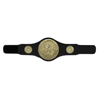 Kickboxing Champion Belt Award