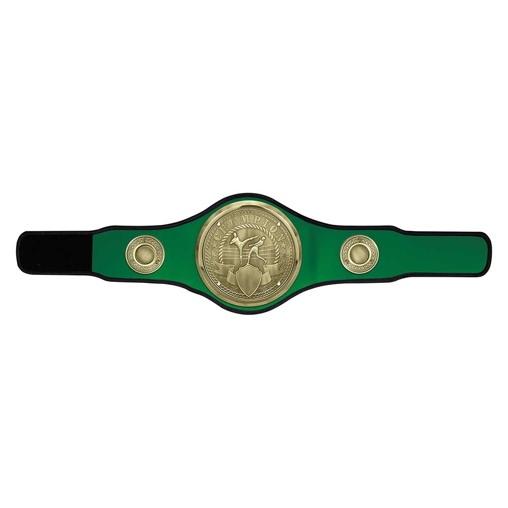 Kickboxing Champion Belt Award