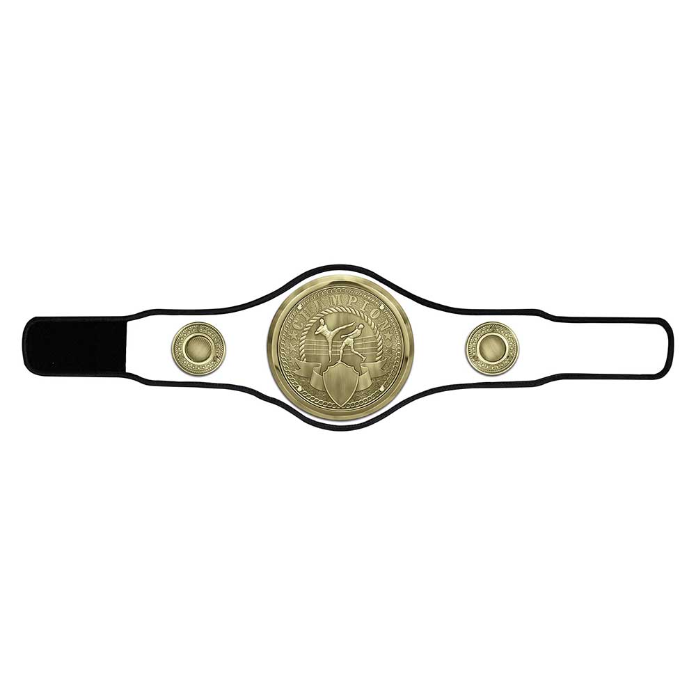 Kickboxing Champion Belt Award