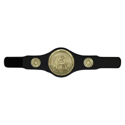 Judo Jujitsu Champion Belt Award