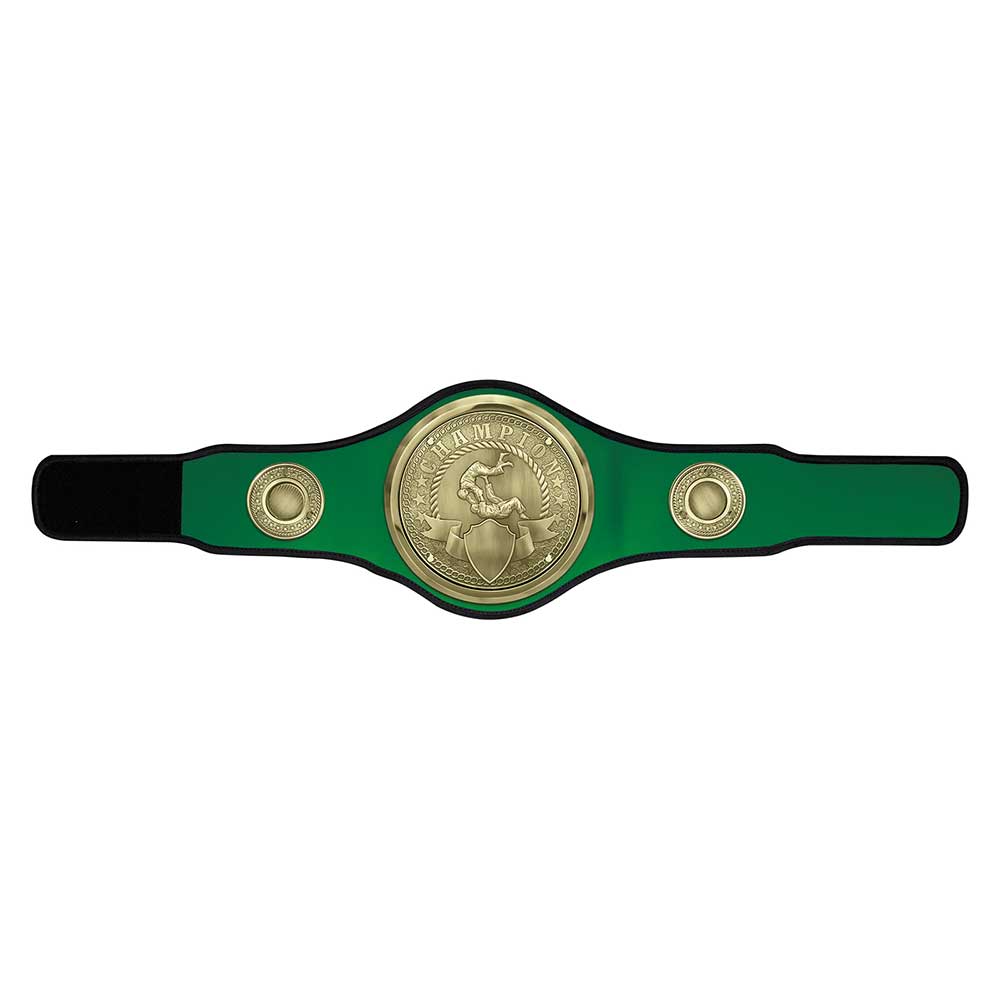 Judo Jujitsu Champion Belt Award