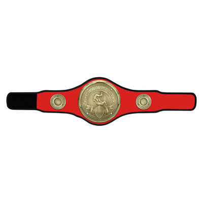 Judo Jujitsu Champion Belt Award