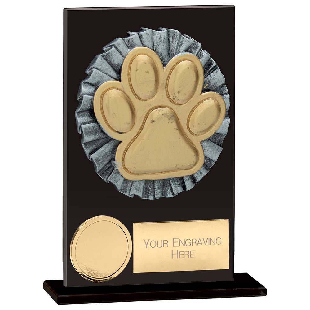 Euphoria Hero Dog Agility Glass Trophy Award