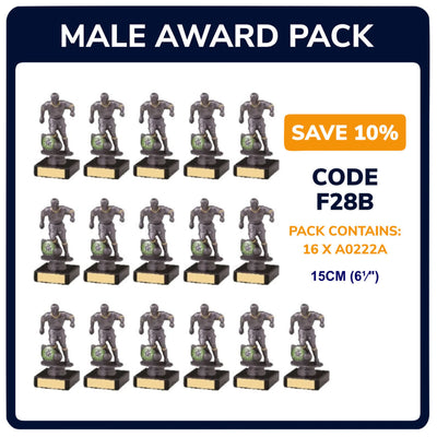 Mens Football Silver Trophies Awards - Pack of 16