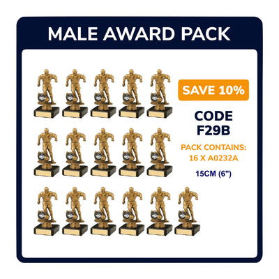 Mens Football Trophies Team Awards Pack of 16