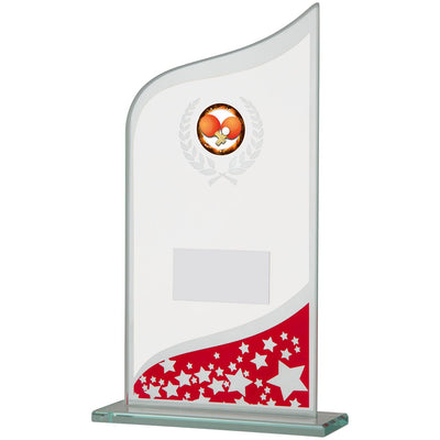 Red and Clear Glass Award with Stars