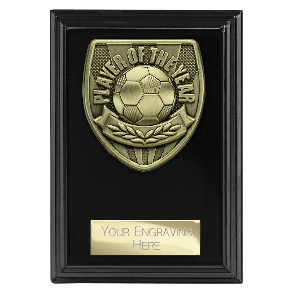 Cobra Plaque Player Of The Year Football Trophy Award Black