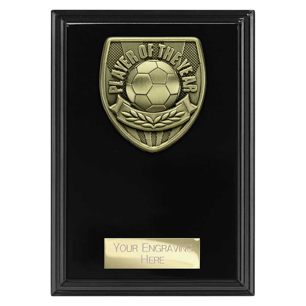 Cobra Plaque Player Of The Year Football Trophy Award Black