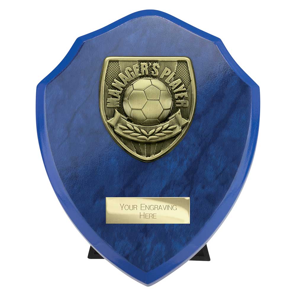 Cobra Plaque Managers Player Football Trophy Award Blue