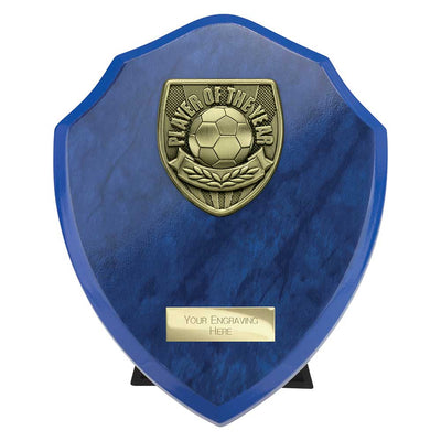 Cobra Plaque Player Of The Year Football Trophy Award Blue