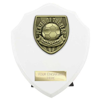 Cobra Plaque Player Of The Year Football Trophy Award White