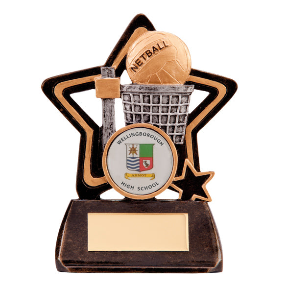 Little Star Netball Trophy Award