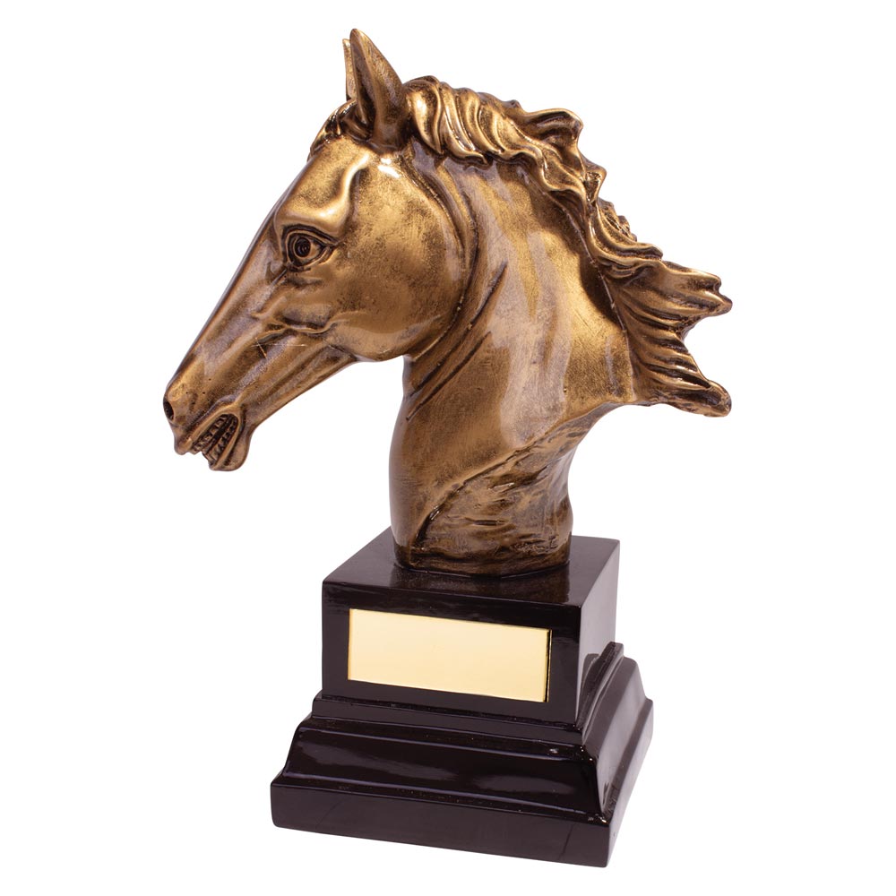 Belmont Equestrian Trophy Award