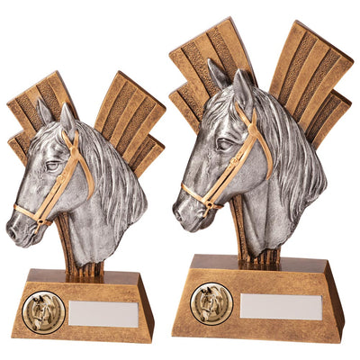 Xplode Equestrian Trophy Award