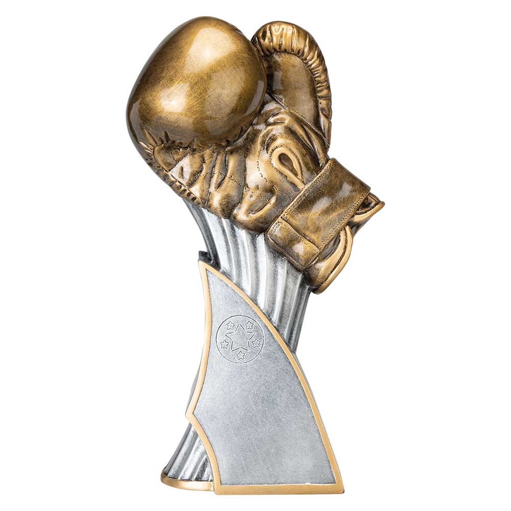 Total Ko Boxing Trophy Award Silver