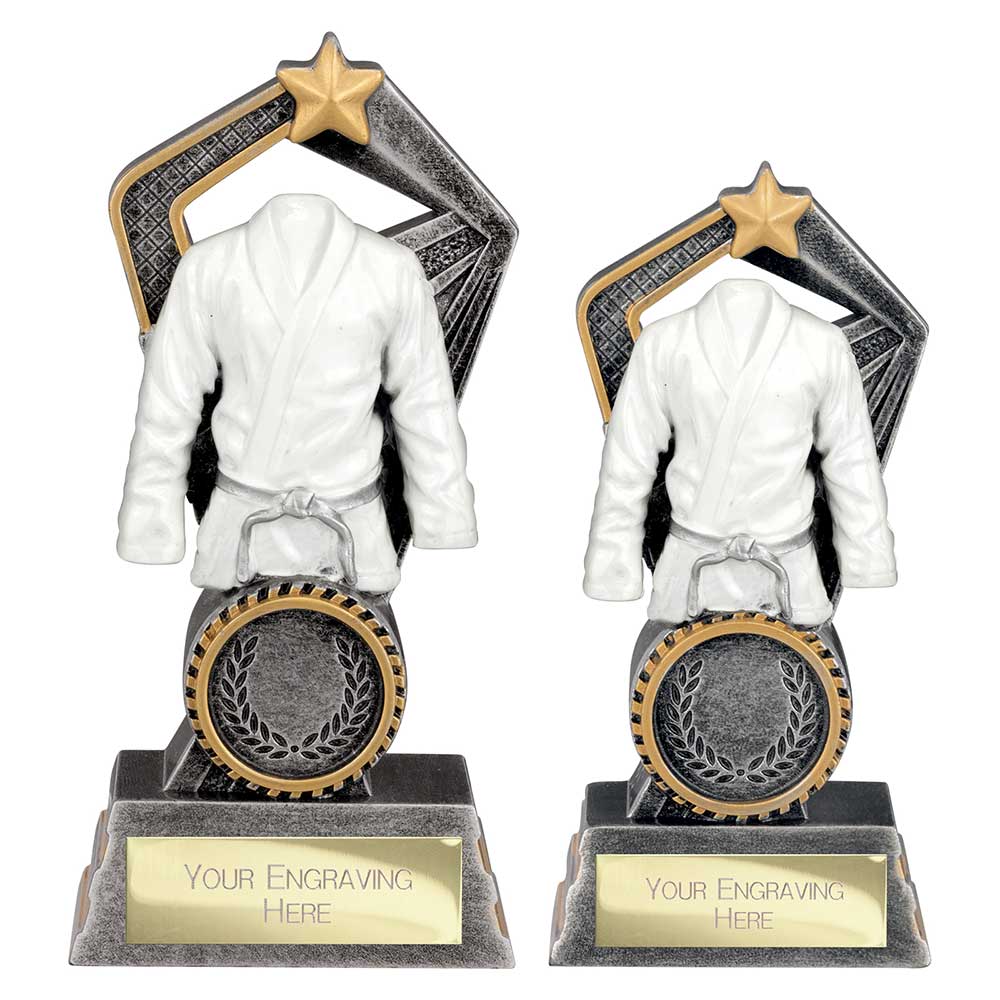 Abyss Martial Arts Trophy Award Silver And Gold