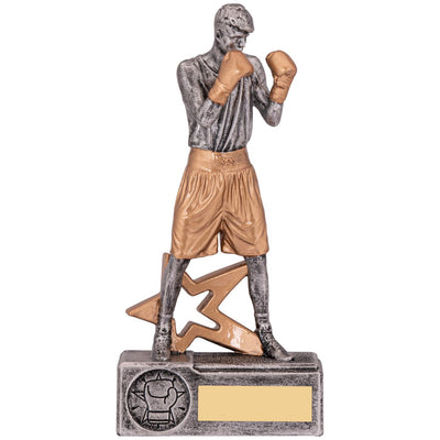 Boxer Male Trophy Award