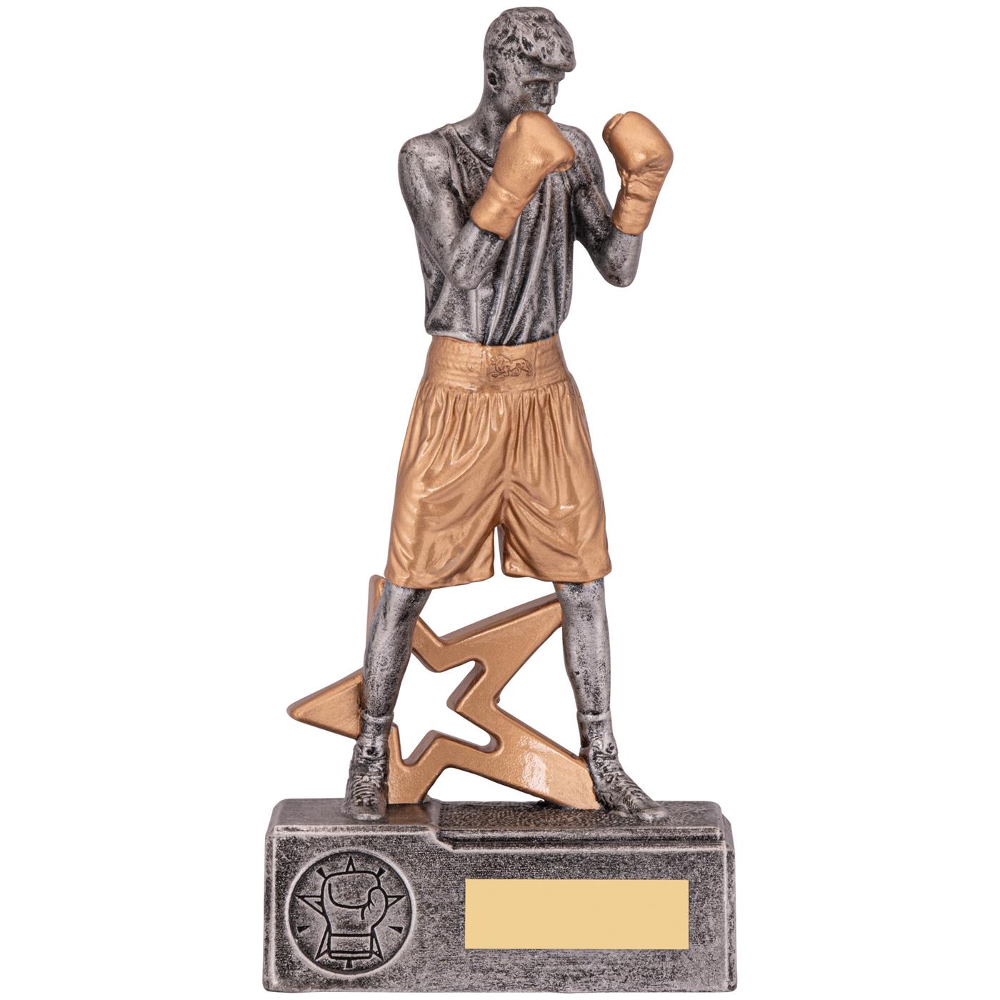 Boxer Male Trophy Award