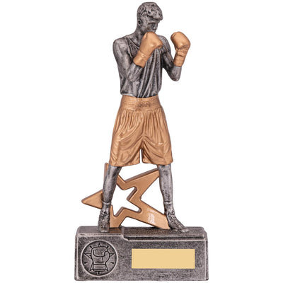 Boxer Male Trophy Award