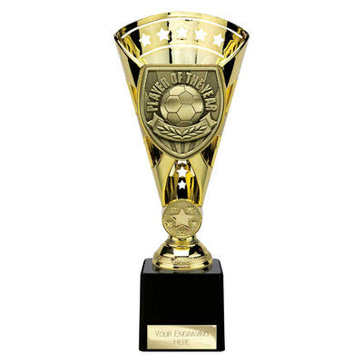 Cobra Star Cup Player Of The Year Football Trophy Award 6 Colours