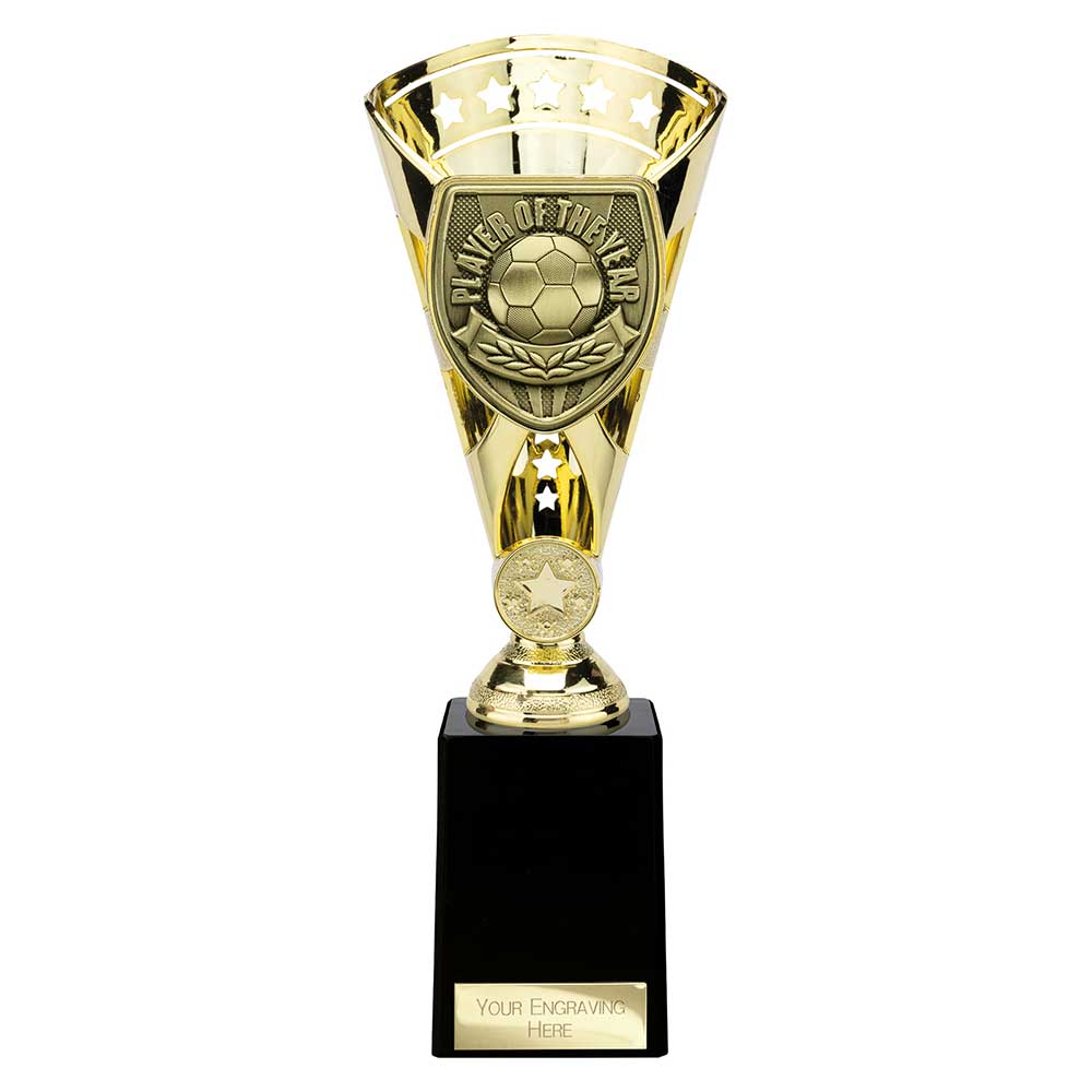 Cobra Star Cup Player Of The Year Football Trophy Award 6 Colours