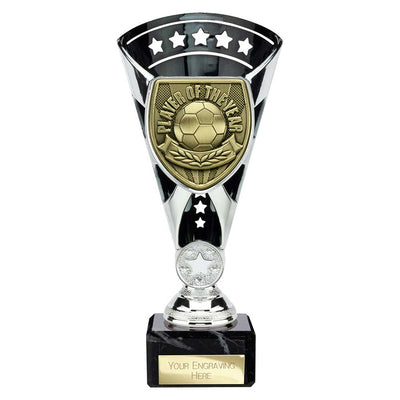 Cobra Star Cup Player Of The Year Football Trophy Award 6 Colours