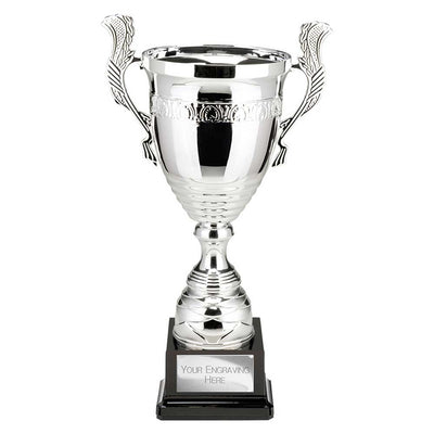 Endeavour Super Cup Trophy