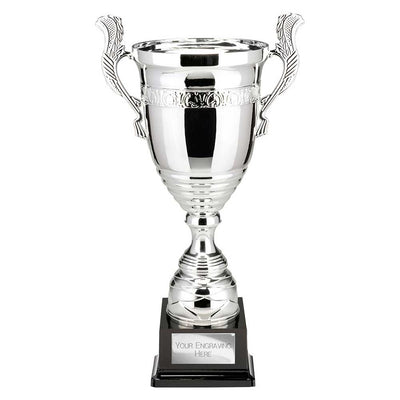 Endeavour Super Cup Trophy