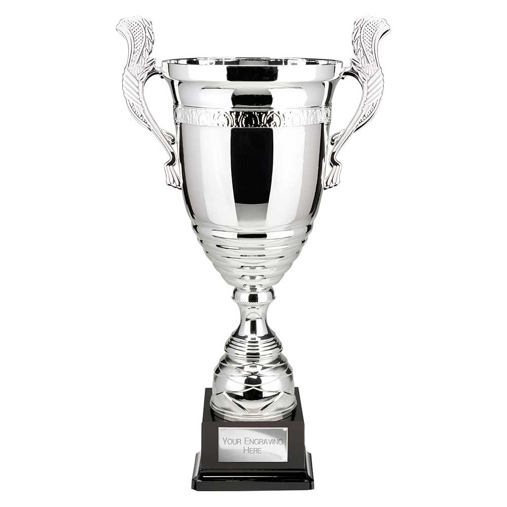 Endeavour Super Cup Trophy