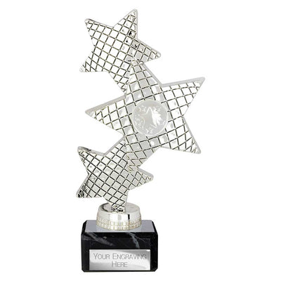 Trinity Star Multisport Trophy Silver