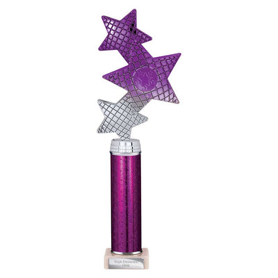 Trinity Star Multisport Tube Trophy Purple Silver