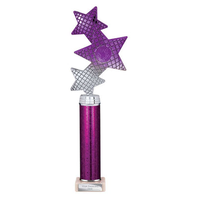 Trinity Star Multisport Tube Trophy Purple Silver