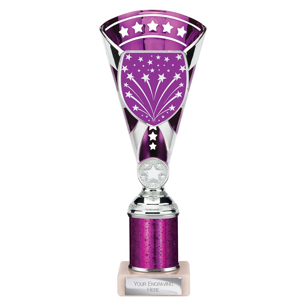 Cobra Star Multisport Tube Trophy Silver Purple