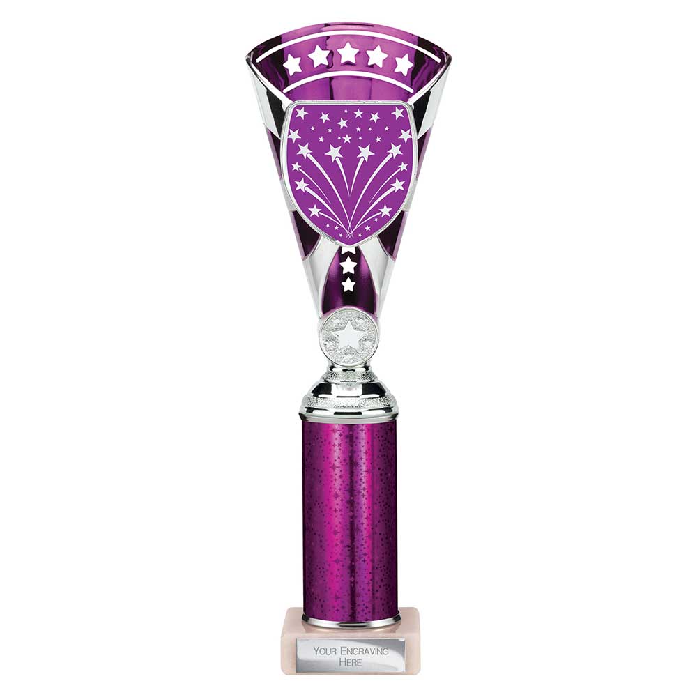 Cobra Star Multisport Tube Trophy Silver Purple