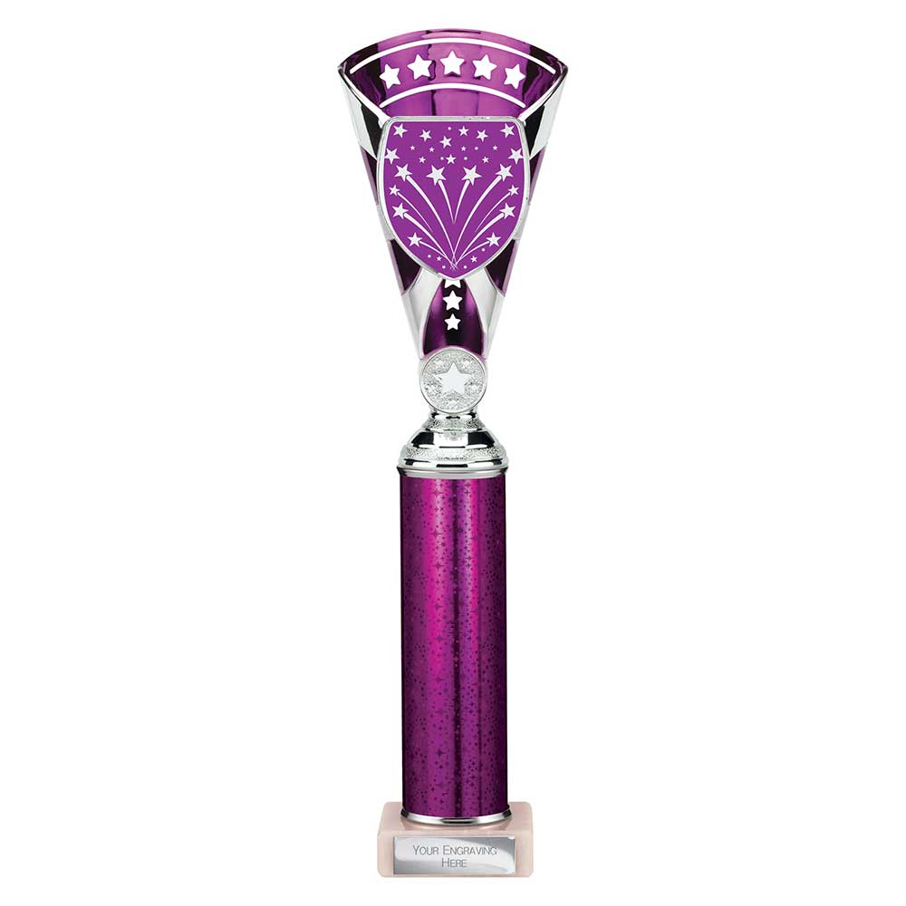 Cobra Star Multisport Tube Trophy Silver Purple