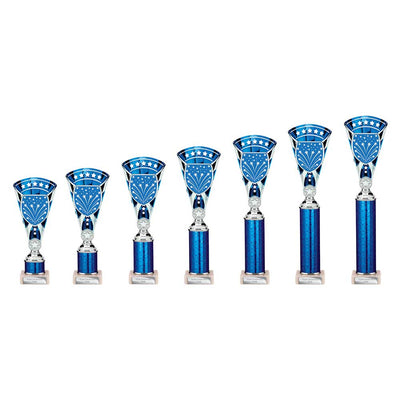 Cobra Star Multisport Tube Trophy Silver Blue