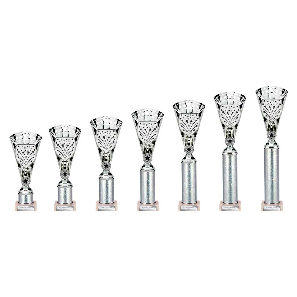 Cobra Star Multisport Tube Trophy Silver