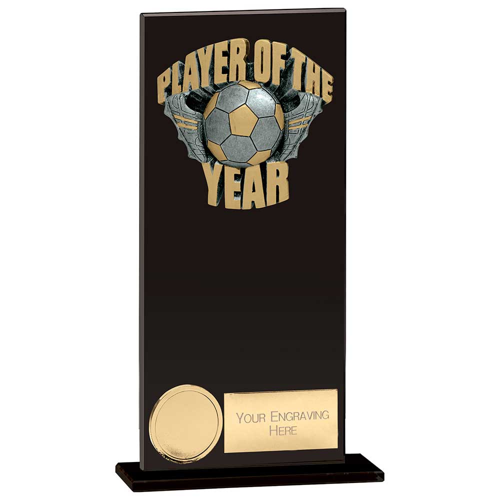 Euphoria Hero Player Of Year Glass Award Trophy