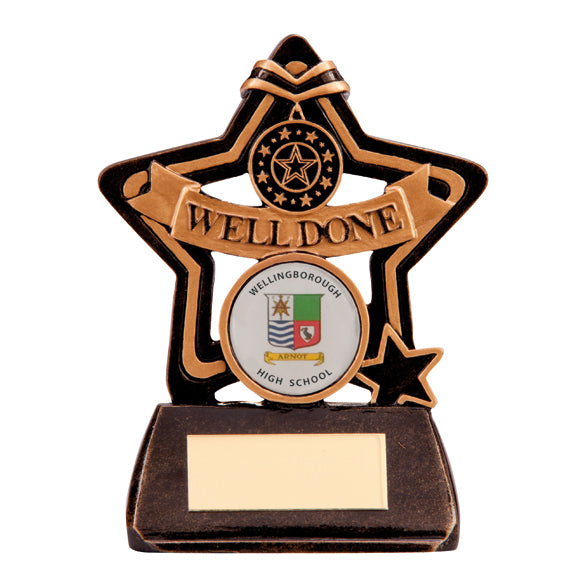 Little Star Well Done Award Trophy