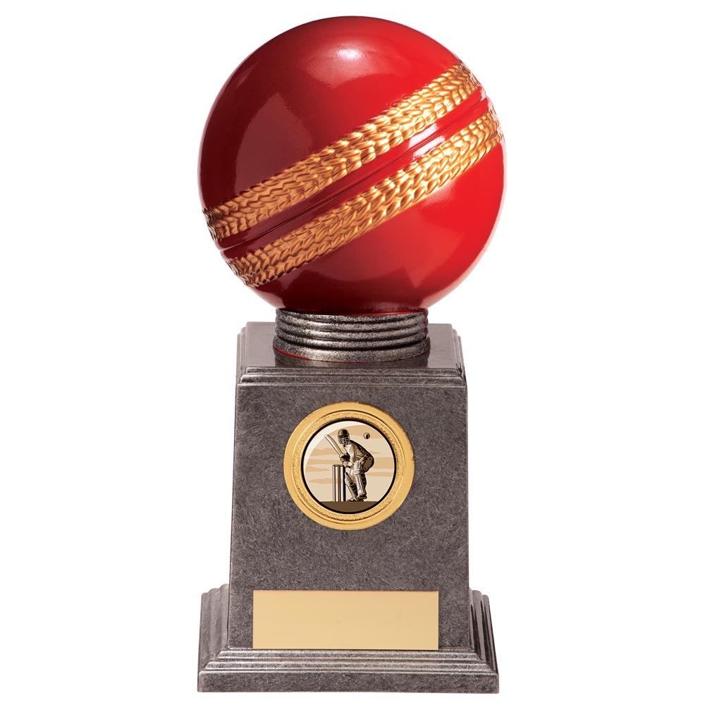 Valiant Legend Cricket Award