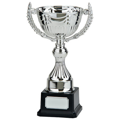 Endeavour Trophy Cup - Silver 